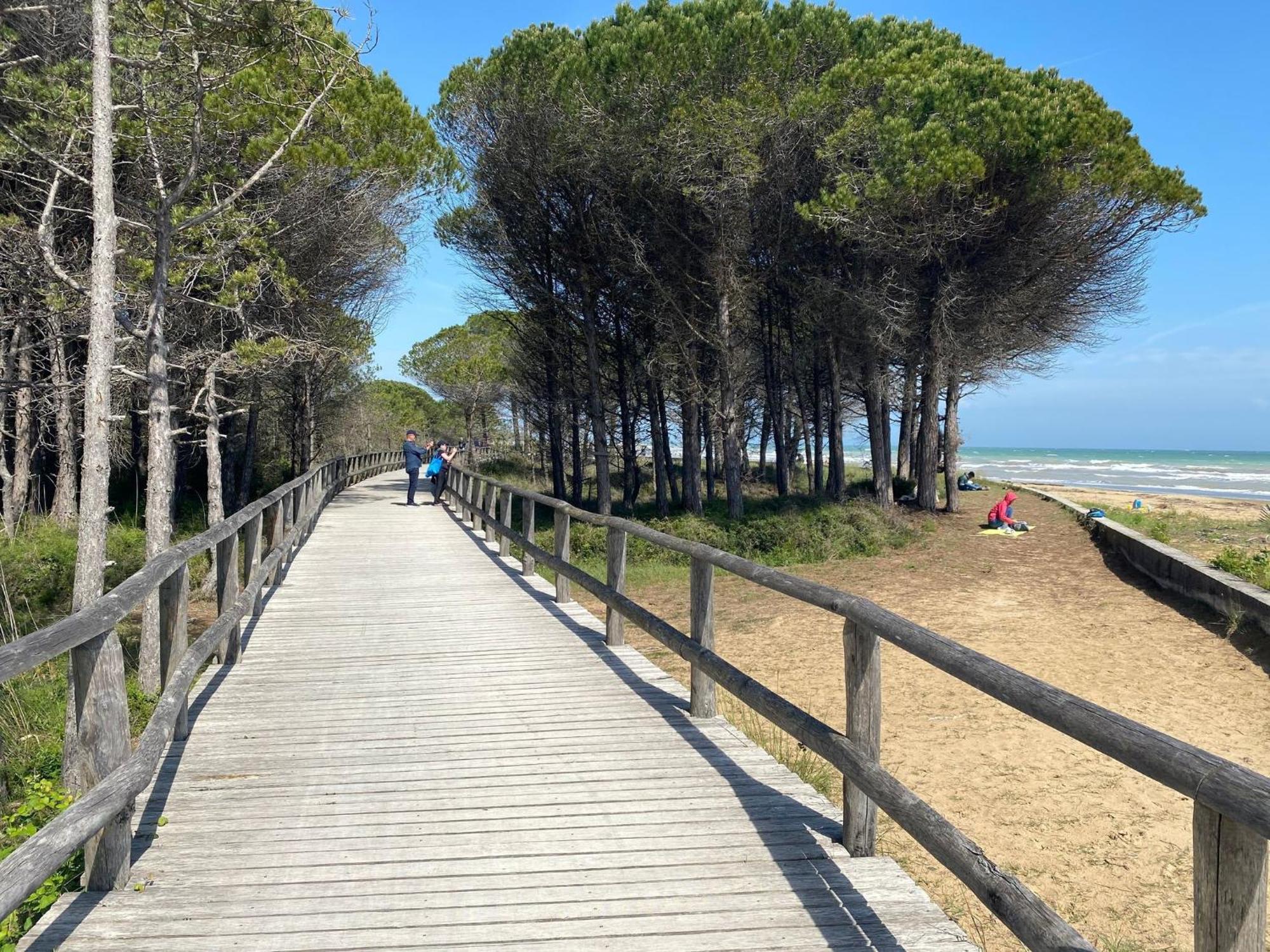 Welcoming Flat For 6 Guests Next To The Bibione